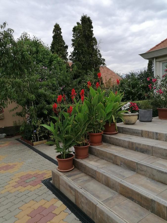 Hajdúszoboszló Kaktuszvirag Apartmanhaz מראה חיצוני תמונה