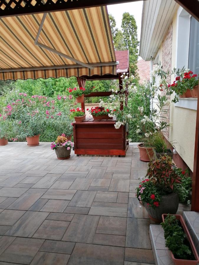 Hajdúszoboszló Kaktuszvirag Apartmanhaz מראה חיצוני תמונה